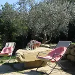 Feriehus Tiny-house Im Olivenhain - 1km Zum Strand- Cilentissimo Castellabate