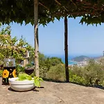 Tiny-house Im Olivenhain - 1km Zum Strand- Cilentissimo * Castellabate