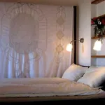 Tiny-house Im Olivenhain - 1km Zum Strand- Cilentissimo Feriehus *