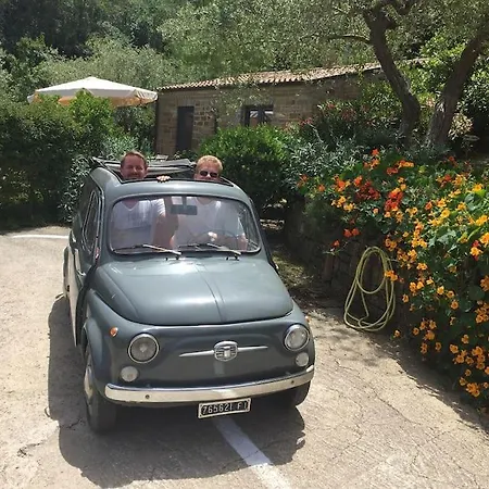 Tiny-house Im Olivenhain - 1km Zum Strand- Cilentissimo 펜션 *