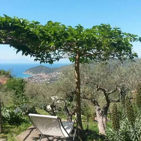 Tiny-house Im Olivenhain - 1km Zum Strand- Cilentissimo 펜션