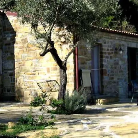 Tiny-house Im Olivenhain - 1km Zum Strand- Cilentissimo