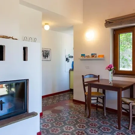 Tiny-house Im Olivenhain - 1km Zum Strand- Cilentissimo *