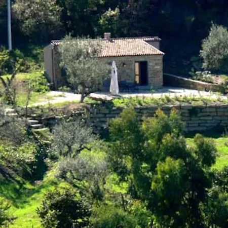 Tiny-house Im Olivenhain - 1km Zum Strand- Cilentissimo 펜션