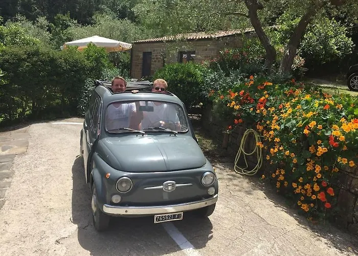 Tiny-house Im Olivenhain - 1km Zum Strand- Cilentissimo 펜션 *