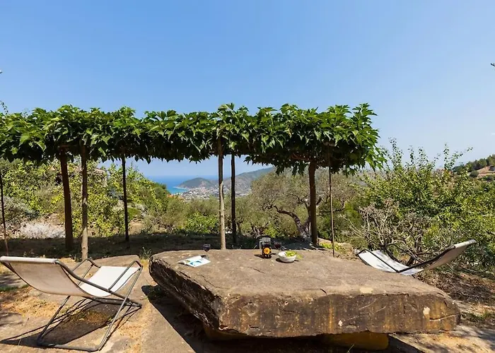 Tiny-house Im Olivenhain - 1km Zum Strand- Cilentissimo 펜션 *