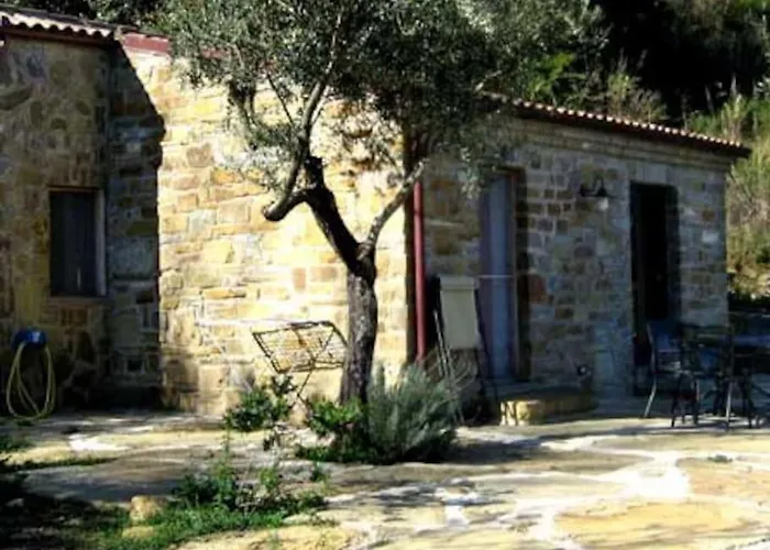 Tiny-house Im Olivenhain - 1km Zum Strand- Cilentissimo