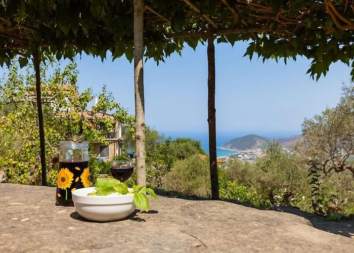 Tiny-house Im Olivenhain - 1km Zum Strand- Cilentissimo * 카스텔라바테