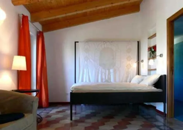 Tiny-house Im Olivenhain - 1km Zum Strand- Cilentissimo *