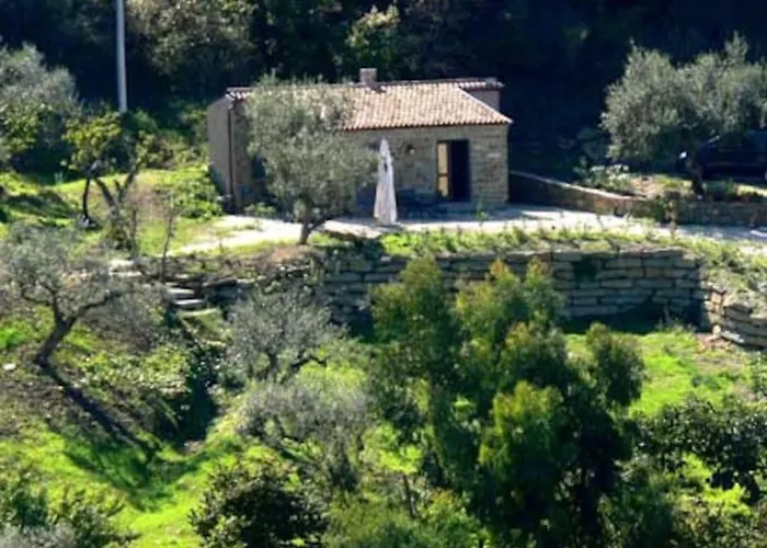 Tiny-house Im Olivenhain - 1km Zum Strand- Cilentissimo 펜션