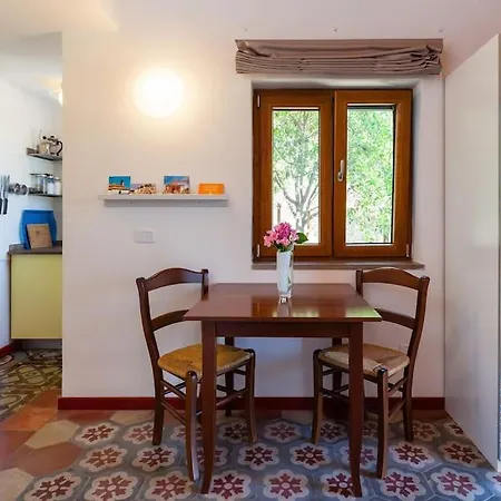 Dom wakacyjny Tiny-house Im Olivenhain - 1km Zum Strand- Cilentissimo
