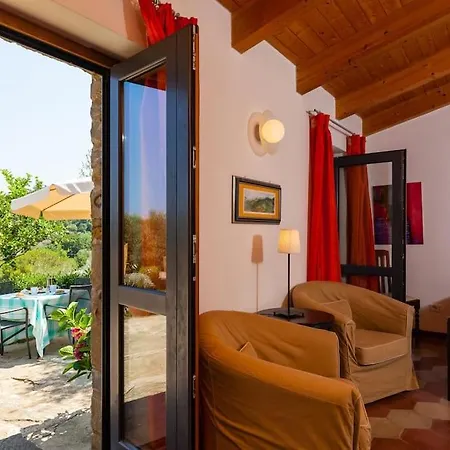 Dom wakacyjny Tiny-house Im Olivenhain - 1km Zum Strand- Cilentissimo *