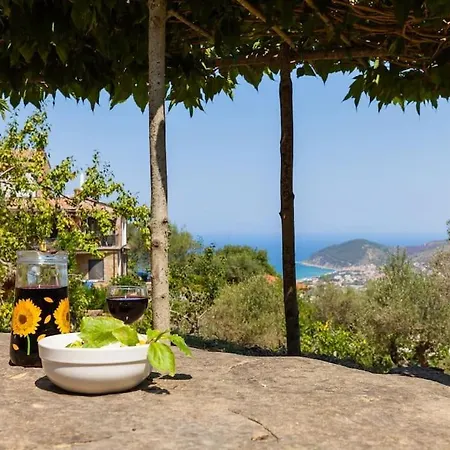 Tiny-house Im Olivenhain - 1km Zum Strand- Cilentissimo * Castellabate