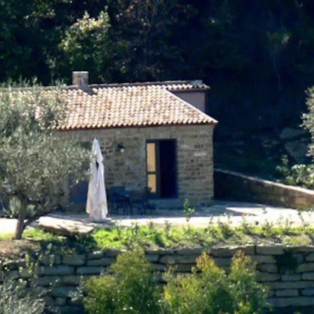 Tiny-house Im Olivenhain - 1km Zum Strand- Cilentissimo Castellabate