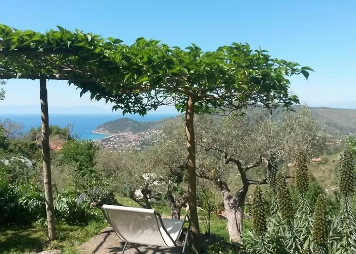 Tiny-house Im Olivenhain - 1km Zum Strand- Cilentissimo Σπίτι διακοπών