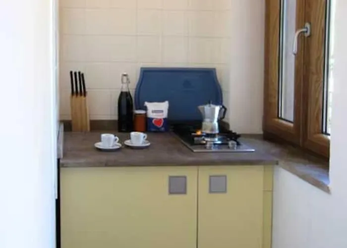 Tiny-house Im Olivenhain - 1km Zum Strand- Cilentissimo